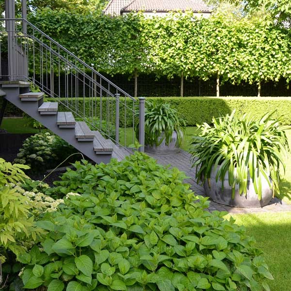 Garten Hamburg Harvestehude Sichtschutz Mit Spalierbaum