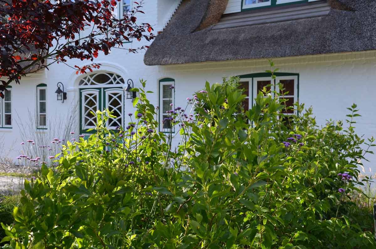 Garten Amrum Mit Vielen Inseltypischen Pflanzen